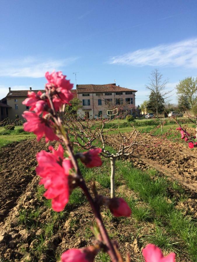 Отель Fattoria Del Soul Bosco Marengo Экстерьер фото